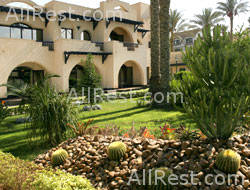 Oasis Hotel 